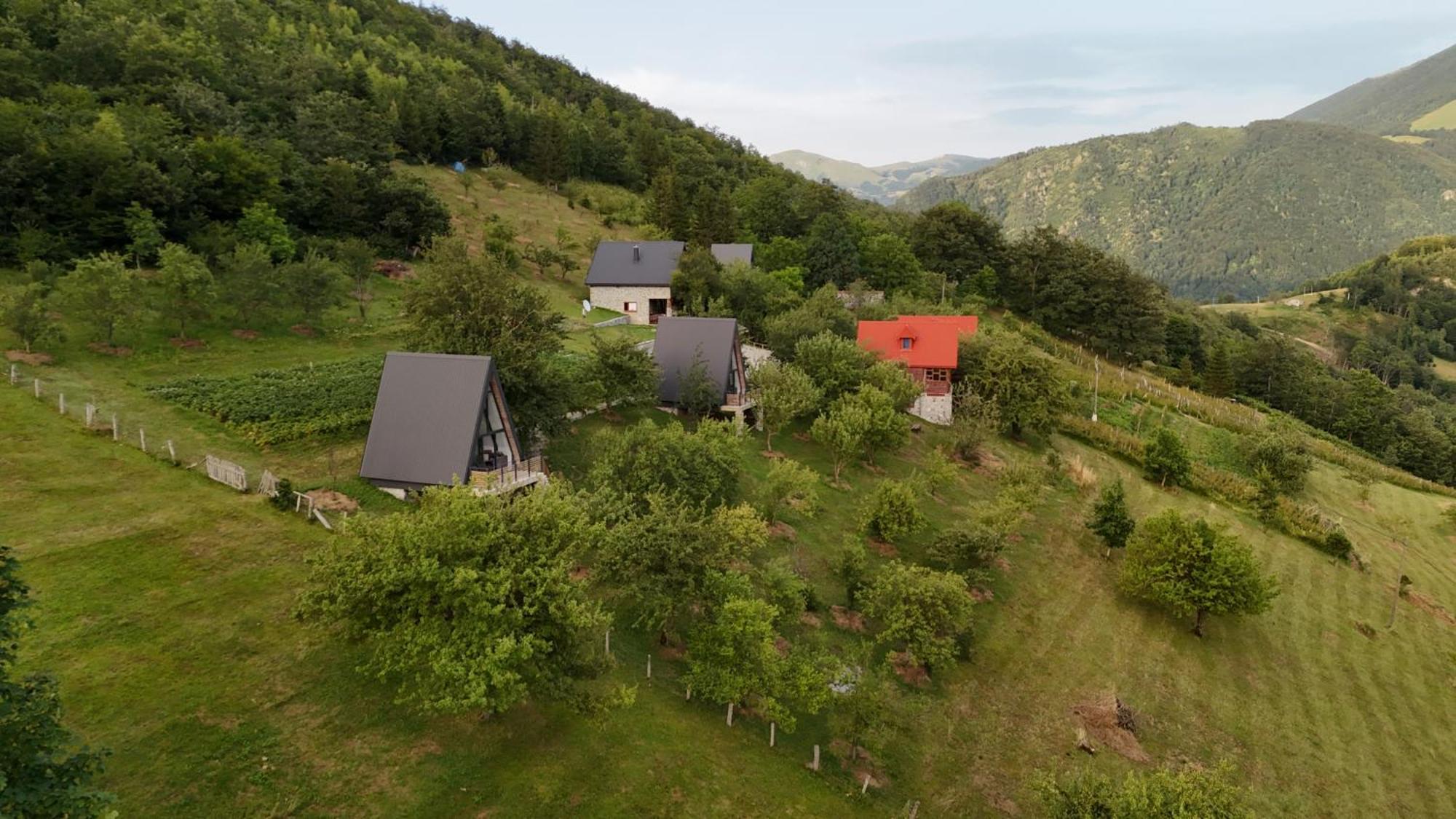 Fern Farm Tiny 度假居