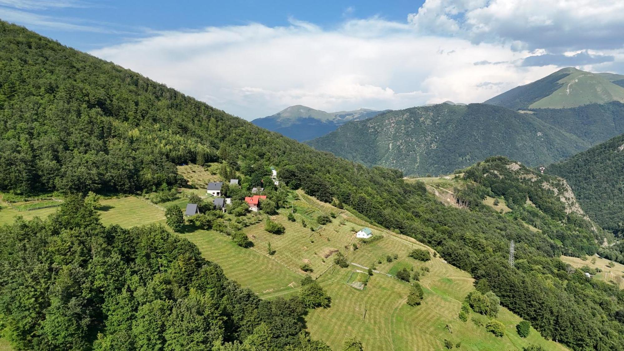 Fern Farm Tiny 度假居 *